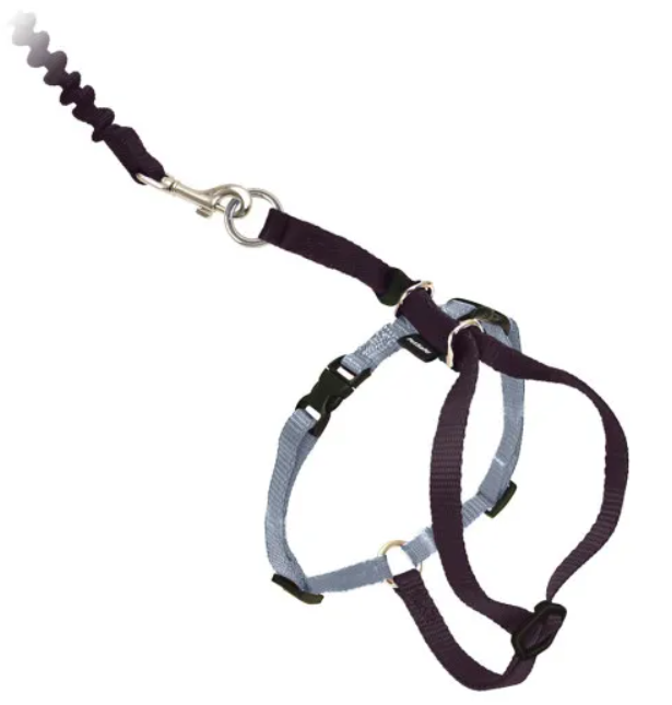 PetSafe Come With Me Kitty Harness and Lead
