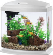 Aqueon MiniBow Led Desktop Fish Aquarium Kit