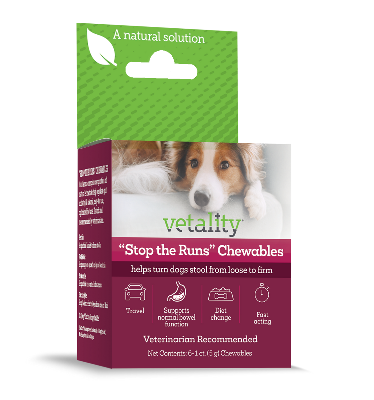 Vetality "Stop the Runs" Anti-Diarrhea Chewable Tablets for Dogs 6 ct