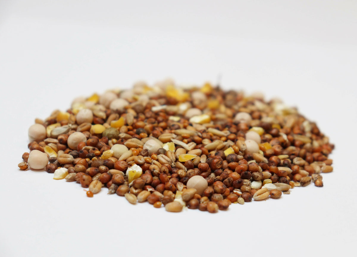 Producer Pigeon Food With Corn And Safflower 13% Protein 40 lb