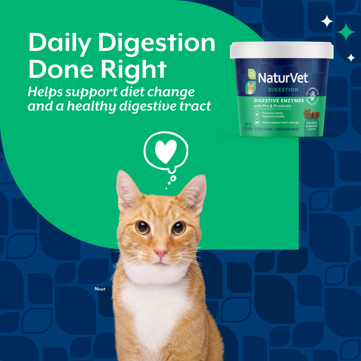 Naturvet Digestive Enzymes Plus Probiotic Cat Soft Chews Supplement 60 ct