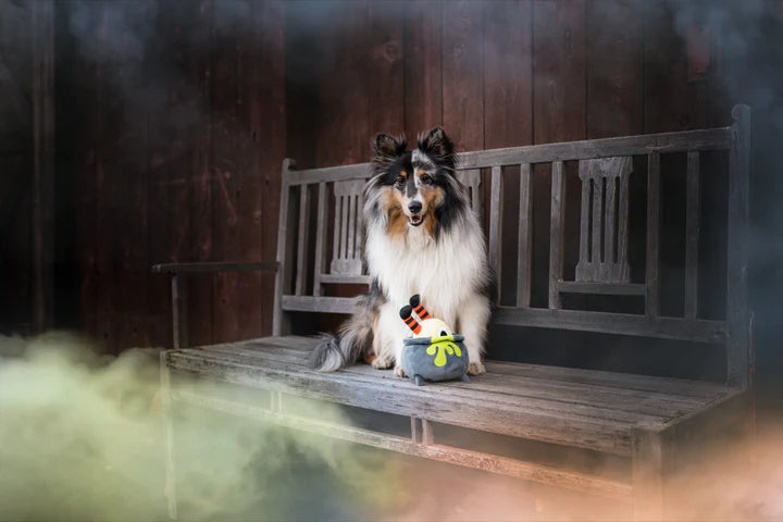 P.l.a.y. Halloween Howling Haunts Pup's Potion Plush Dog Toy