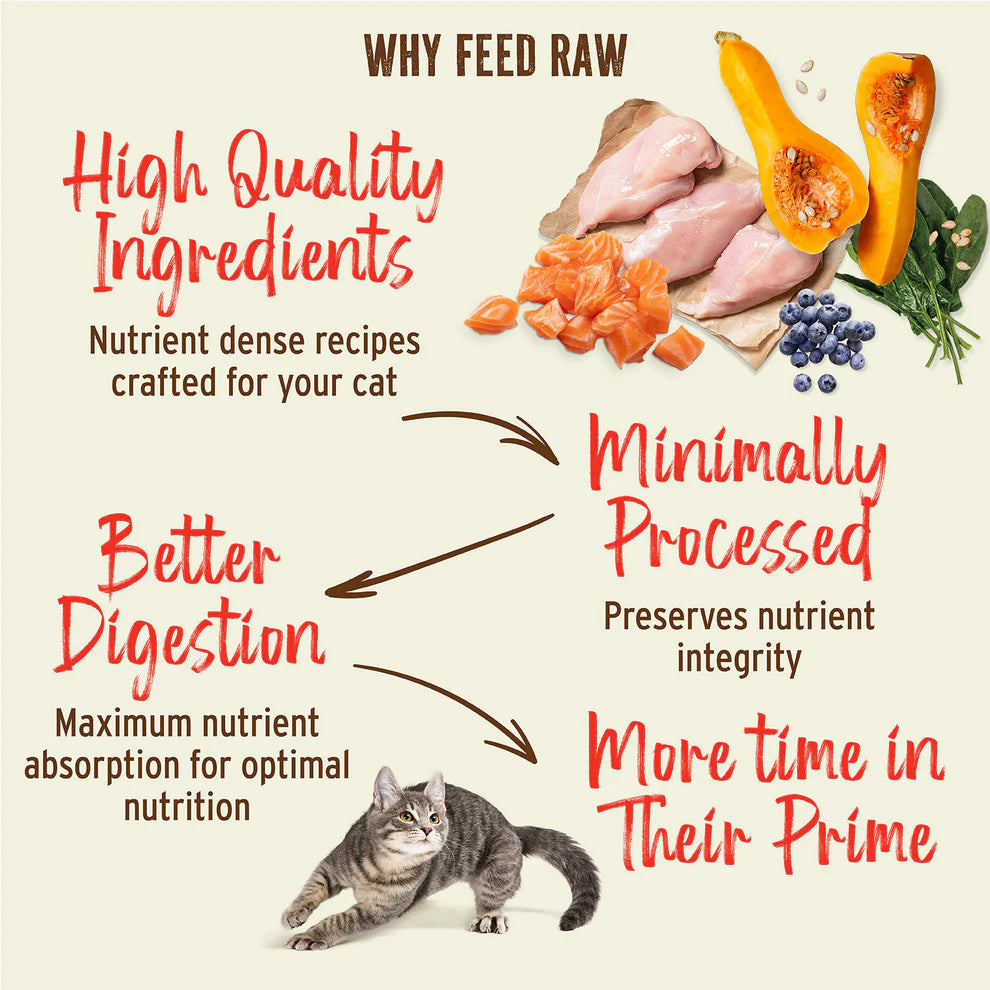 Primal Kibble in the Raw Beef Recipe Dry Cat Food 1.5 lb