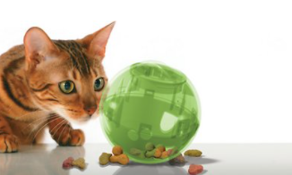 PetSafe Slimcat Feeder Ball, Blue
