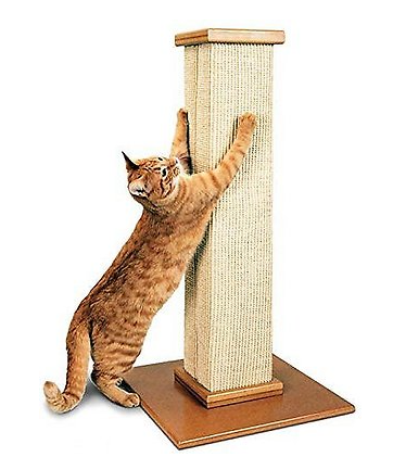 Pioneer Pet Smart Cat Ultimate Cat Scratching Post