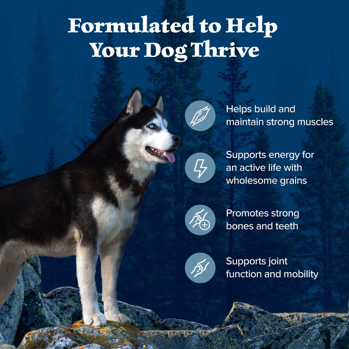 Blue Buffalo Wilderness Nature's Evolutionary Diet with Chicken & Wholesome Grains Adult Recipe Dry Dog Food