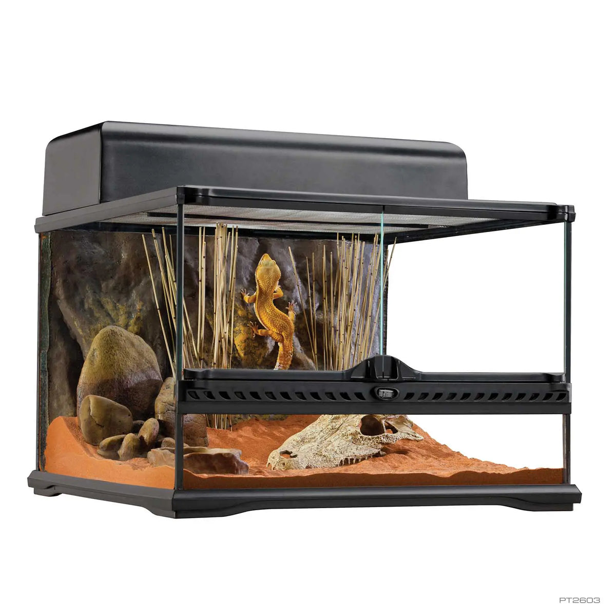 Exo Terra Natural Advanced Habitat Terrarium 18 x 18 x 12 in