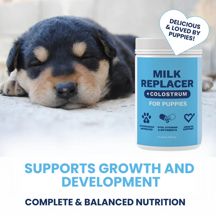 Under The Weather Milk Replacer + Colostrum for Dogs & Puppies 12 oz