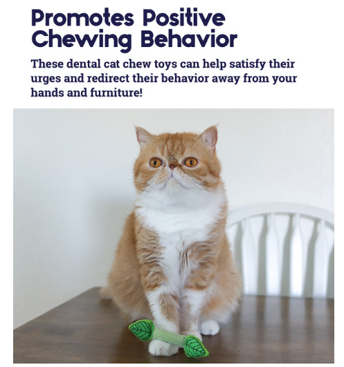Catstages Fresh Breath Mint Stick Dental Cat Toy