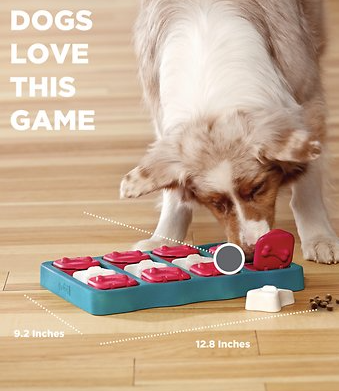 Outward Hound Brick Treat Puzzle Dog Toy