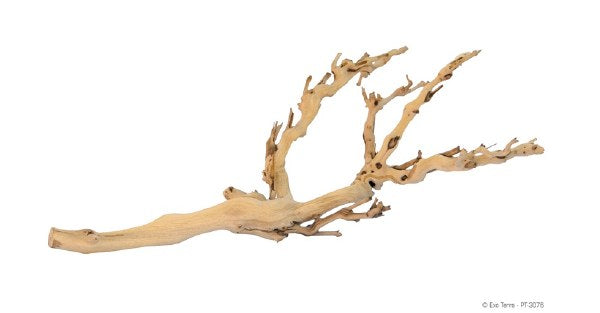 Exo Terra Forest Branch, Sandblasted Grape Vine M