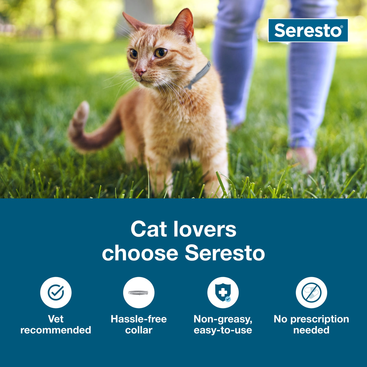 Seresto Cat Flea & Tick Collar