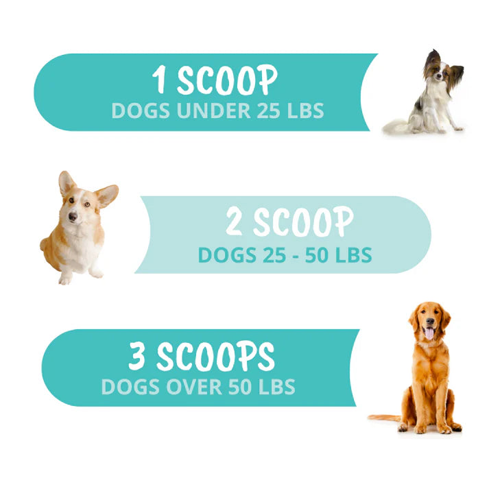 Under The Weather Probiotic Powder for Dogs 4.23 fl oz
