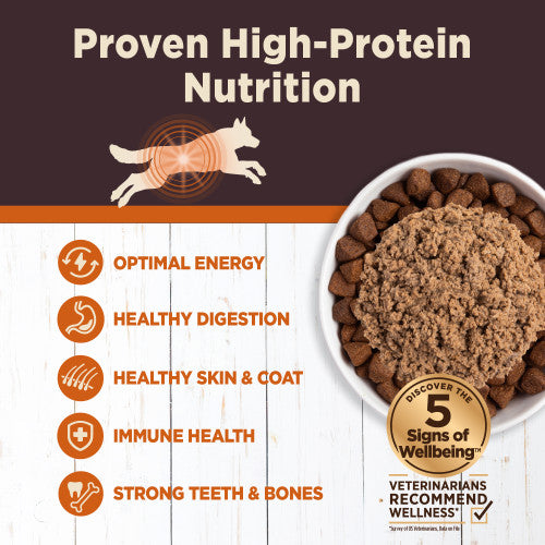 Wellness Core Digestive Health Chicken Recipe Grain-Free Canned Dog Food