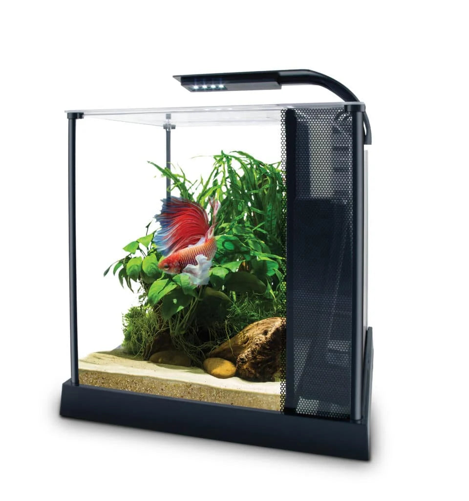 Fluval Betta Premium Aquarium Kit 2.6 gal