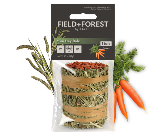 Kaytee Field + Forest Mini Hay Bale with Carrots 3.5 oz