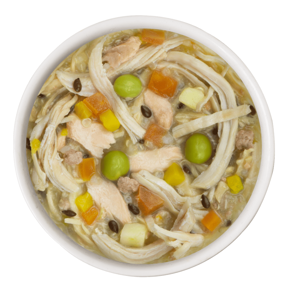 Weruva Meals 'N More Jammin' Salmon + Skin & Coat with Chicken Breast & Salmon in Pumpkin Soup Wet Dog Food