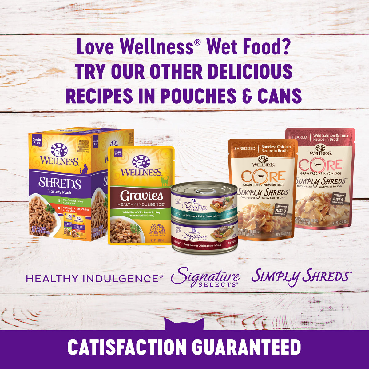 Wellness Complete Health Seafood Pate Favorites Wet Cat Food Variety Pack 12 pk