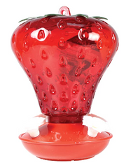 Perky Pet Strawberry Hummingbird Feeder 40 oz