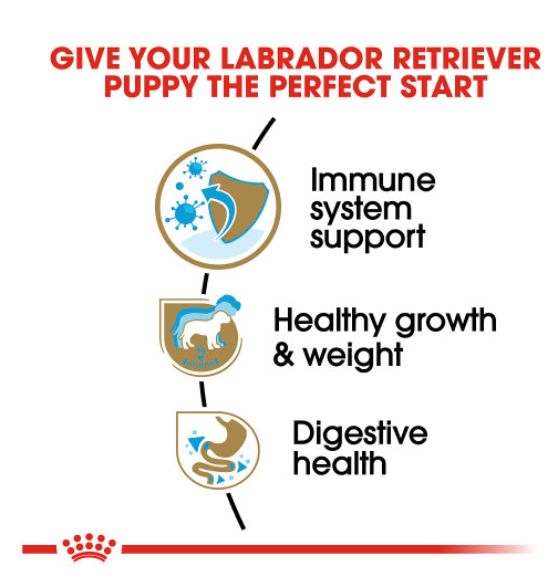 Royal Canin Labrador Retriever Puppy Dry Dog Food 30 lb