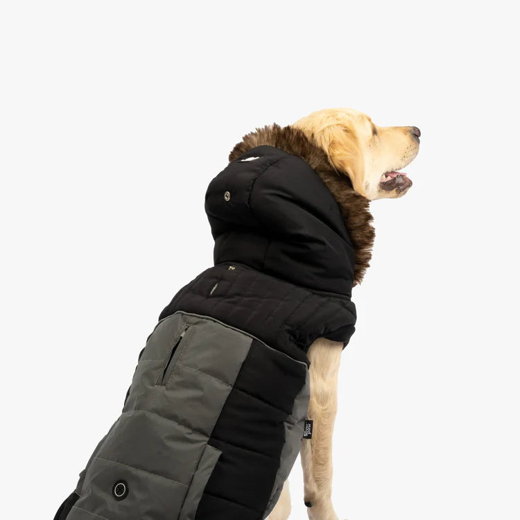 Silverpaw Bailey Dog Jacket