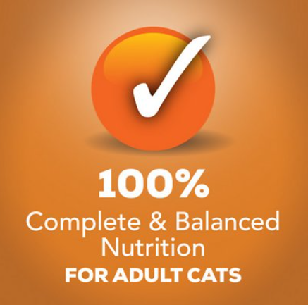 Friskies Prime Filets With Chicken In Gravy Canned Cat Food