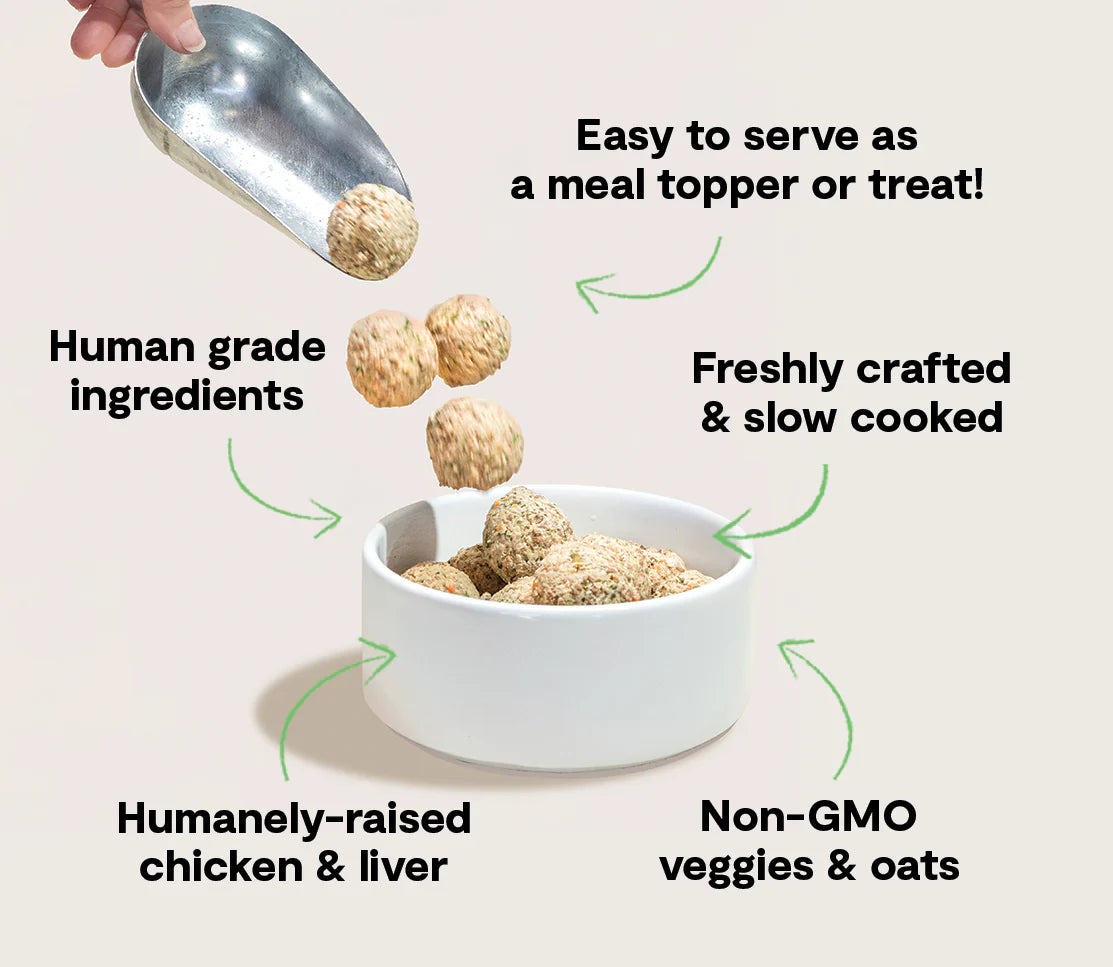 Open Farm Harvest Chicken Freshly Crafted Meatballs for Dogs 14 oz