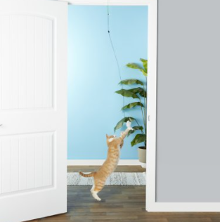 Spot Ethical Cat A-Door-Able Bouncing Mouse Cat Toy
