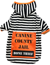 Petrageous Halloween Bone Thief Plush Hoodie Pet Costume