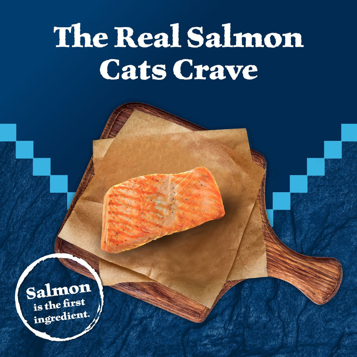 Blue Buffalo Wilderness High Protein Salmon Recipe Grain-Free Canned Cat Food