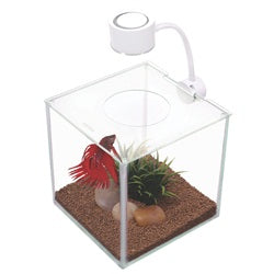 Marina Cubus Glass Betta Kit, 3.4L
