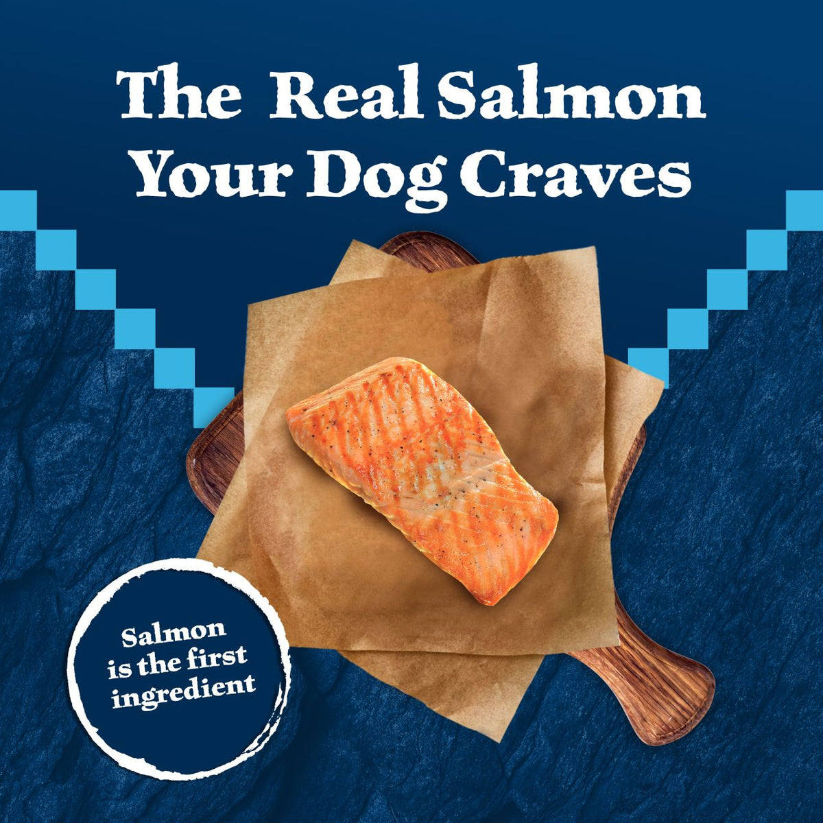 Blue Buffalo Wilderness Adult High Protein Natural Salmon & Wholesome Grains Dry Dog Food 24 lb