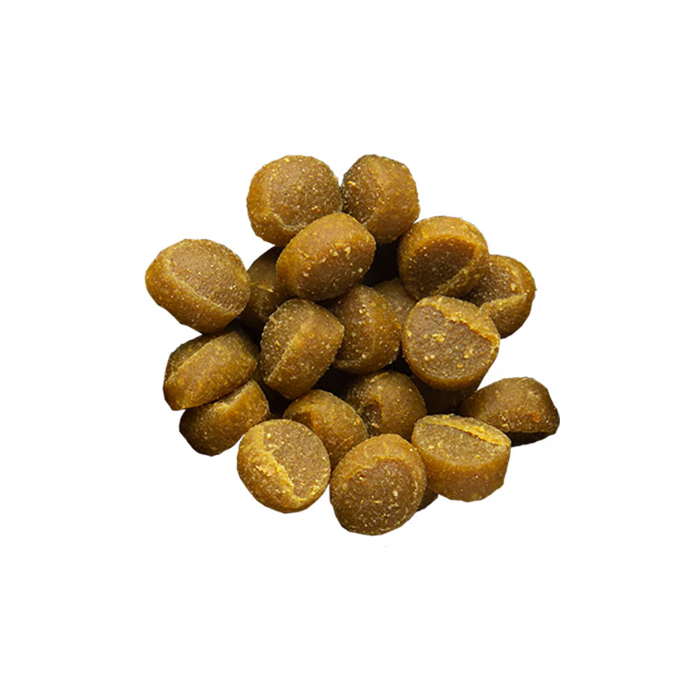 Zuke's Mini Naturals Salmon Recipe Dog Treats