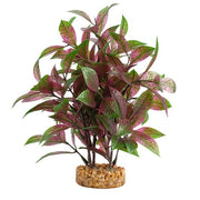 Fluval Broad Leaf Red Ludwigia Aquarium Plant 8 in