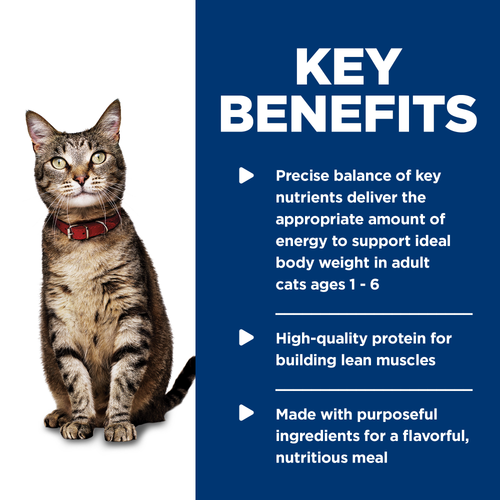 Hill's Science Diet Adult 1-6 Savory Salmon Entree Canned Cat Food