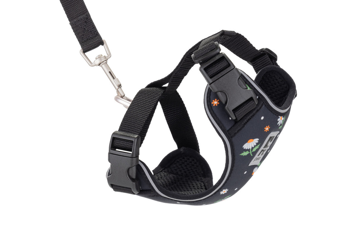 Rc Pet Products Adventure Kitty Cat Harness- Daisies