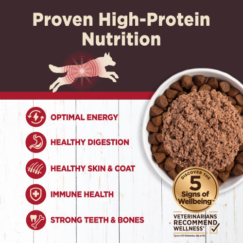 Wellness Core Digestive Health Beef Recipe Grain-Free Canned Dog Food