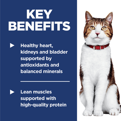 Hill's Science Diet Adult 7+ Chicken Recipe Dry Cat Food
