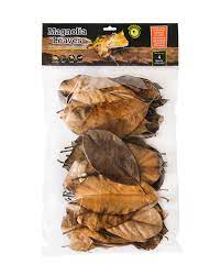 Galapagos Reptile Gear Magnolia Leaf Litter Reptile Camouflage 4 qt