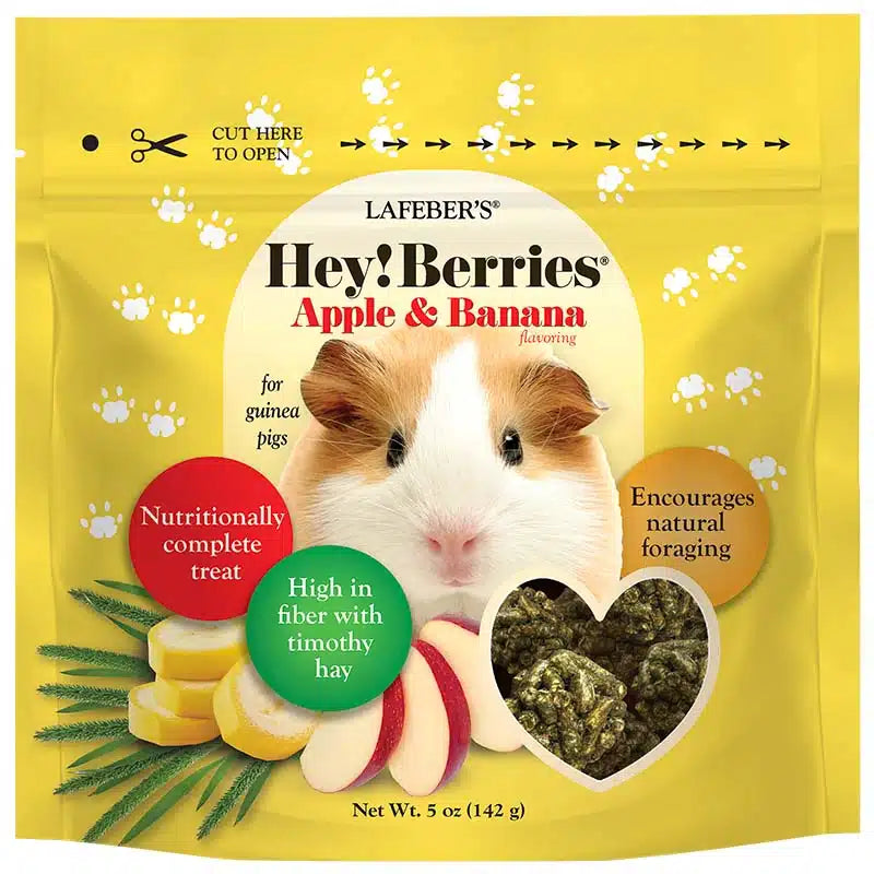 Lafeber's Hey! Berries Apple & Banana Treats for Guinea Pigs 5 oz