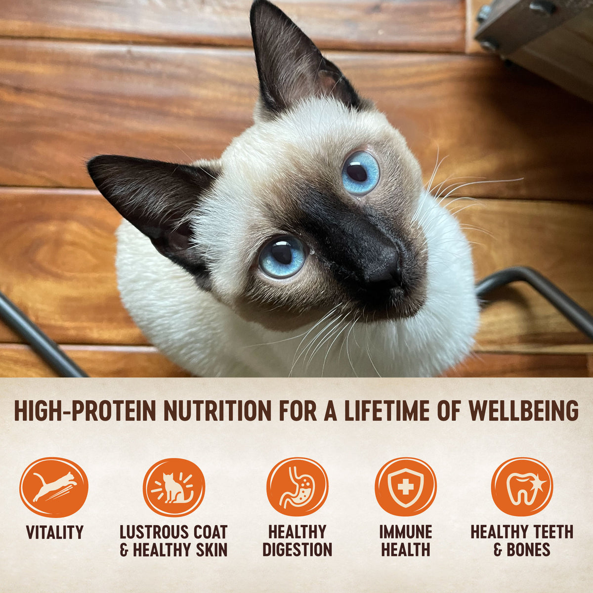Wellness Core Natural Chicken, Turkey, & Chicken Liver Classic Pate Grain
