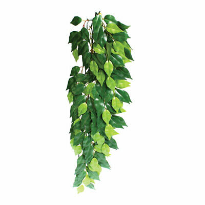 Exo Terra Silk Ficus Terrarium Plant