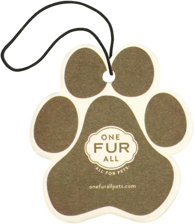 Pet House Pumpkin Spice Car Air Freshener