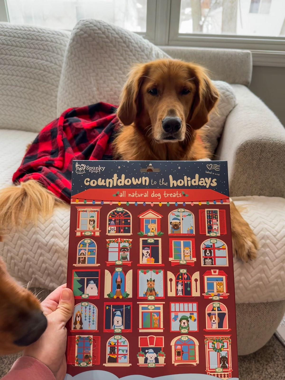 Spunky Pup Holiday Dog Treat Advent Calendar 25 ct