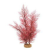 Fluval Scarlet Eichornea Aquarium Plant 14 in