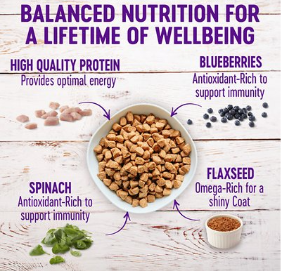 Wellness Complete Health Small Breed Adult Healthy Weight Turkey & Brown Rice Recipe Dry Dog Food 12 lb