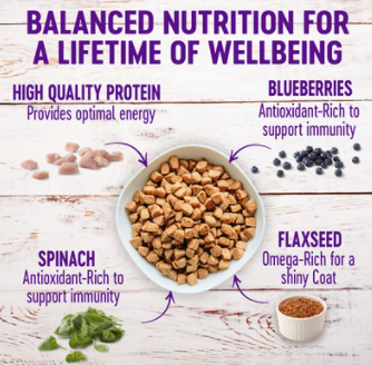 Wellness Complete Health Small Breed Adult Turkey & Oatmeal Recipe Dry Dog Food