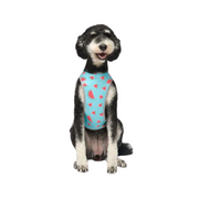 Canada Pooch Chill Seeker Cooling Pet Vest