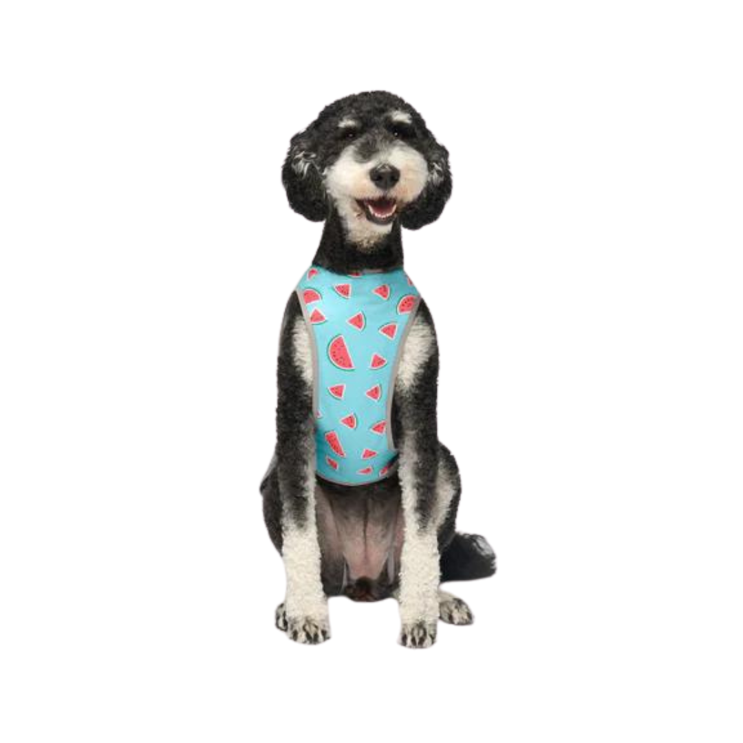 Canada Pooch Chill Seeker Cooling Pet Vest