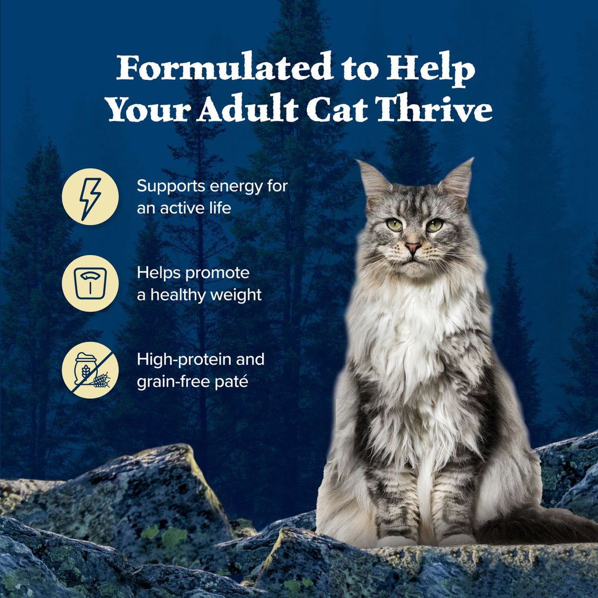 Blue Buffalo Wilderness High Protein Chicken Recipe Grain-Free Canned Cat Food